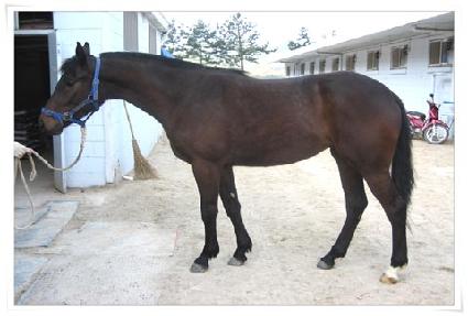 ���� ����