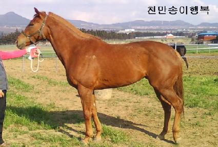 õ�������ູ ����