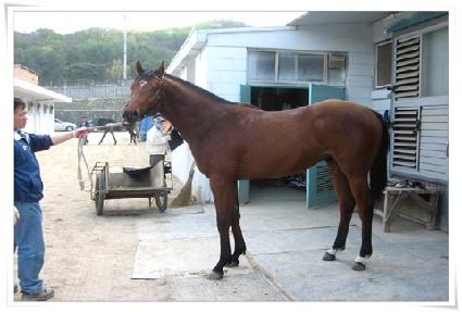 õ������ ����