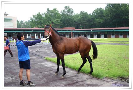 ��� ����