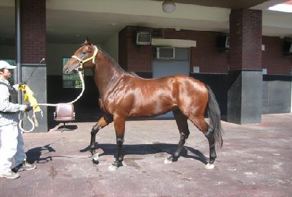 Ȧ���帮�� ����