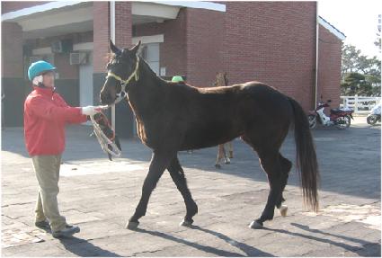 ��Ʋ�帮�� ����