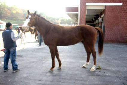 �����̵帮�� ����