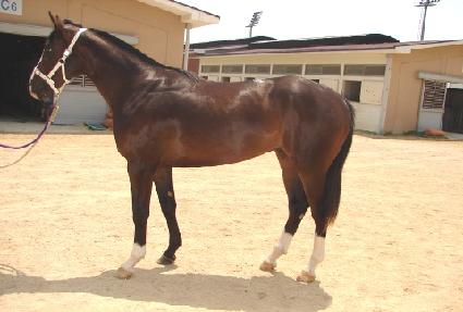 ����� ����