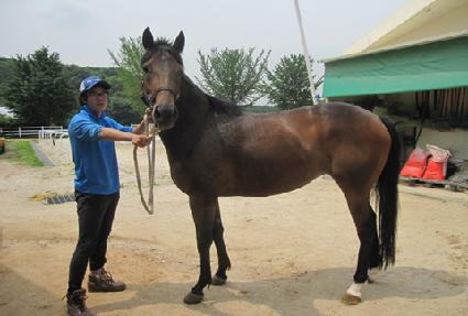 �ɷη� ����