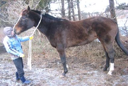 �帲���� ����