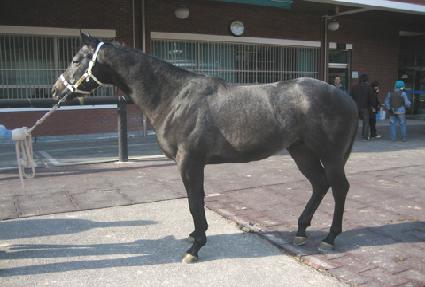 �ָ� ����