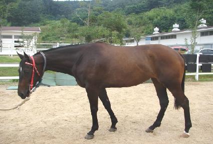 ���� ����