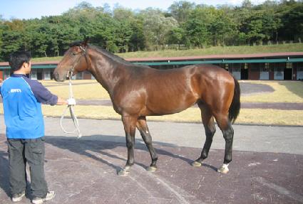 �Ŀ�����Ӵ� ����