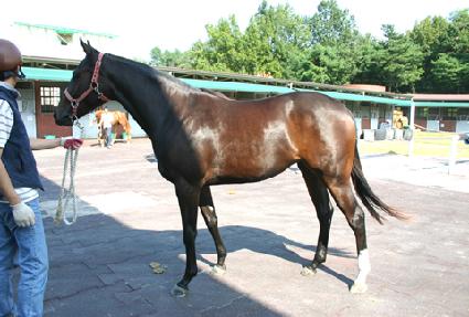 õ���Ǻ� ����