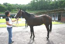 ù�λ� (CHEOT INSANG) ����