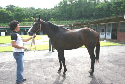 ù�λ� ����