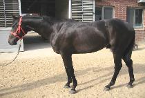 �Ŀ������� (POWER DESIGN) ����