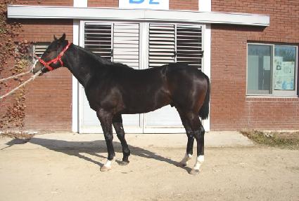 ���亸�� ����