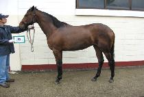 �ϰ�õ�� (ILGOP CHEONSA) ����