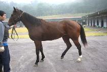 ���� (OKTO) ����