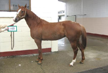 ���� ����