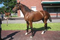 �����Դ� (UJU HAMDAE) ����