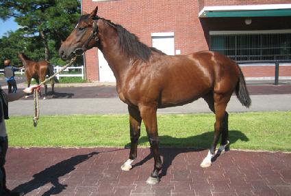 �����Դ� ����