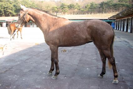 ������ ����