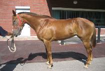 ȫ�� (HONGHAE) ����