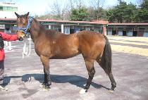 Ǫ���ϴ� (PUREUNHANEUL) ����