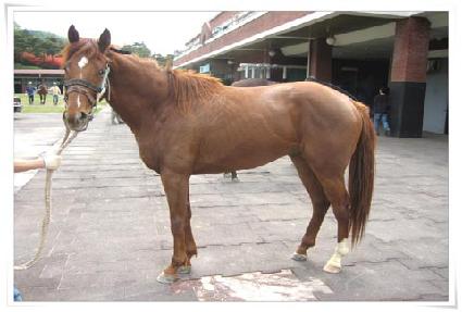 ��ǳ�ʿ� ����