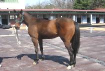 ����Ÿ�� (FREE TIME) ����