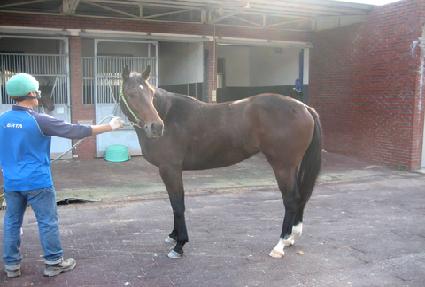 ����ũ�Ӵ� ����