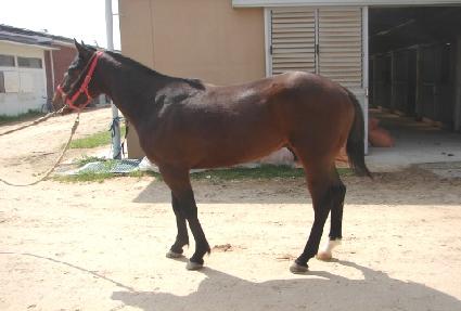 ���̳�ŷ ����