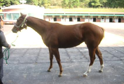 ����Ŭ���� ����