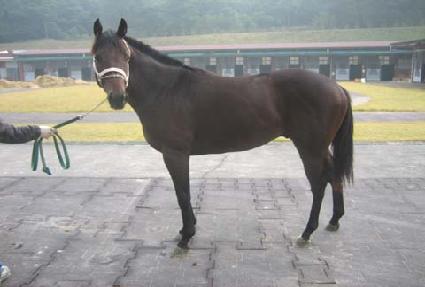 ����� ����