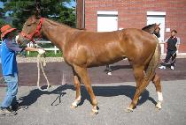 ���ǹ������� (HAPPY BIRTHDAY) ����