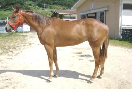 �Ҳ�õ�� ����