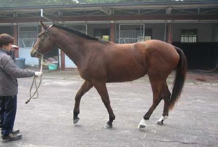 �õ�Ӵ� ����