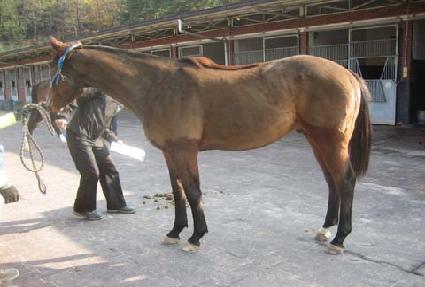 ������ȭ ����