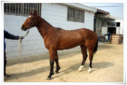 ���ʷ� ����