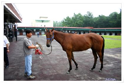 ��õ���� ����