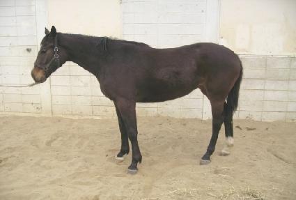 Ȳ��õ�� ����