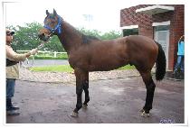 ĭ���Ŀ� (KHANUI HUYE) ����