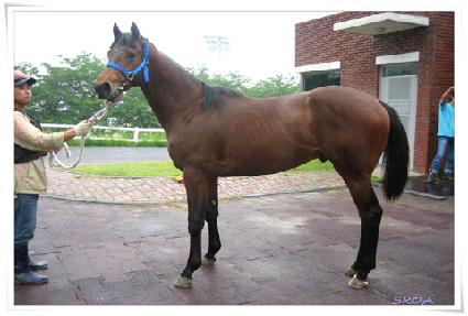 ĭ���Ŀ� ����