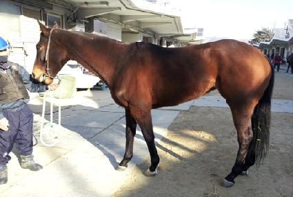 �ູ����� ����