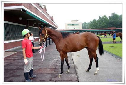 ��ƲĿ�Ǵ� ����