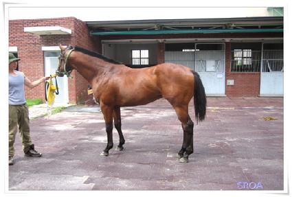 īƮ���� ����