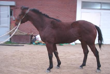 �ڹ�Ʈ���� ����