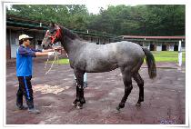 ���ȣ (DAEBAEKHO) ����