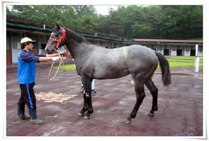 ���ȣ ����