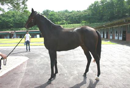 �Ѹ�Ҹ� ����