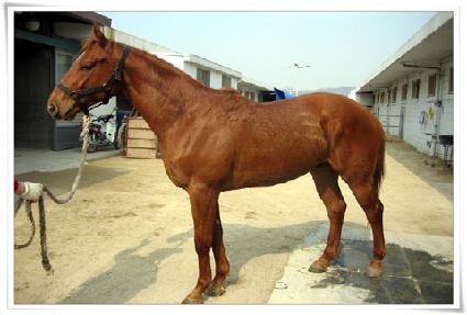 ������è�� ����