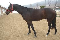 ���Ư�� (USEUNG TEUKGWON) ����